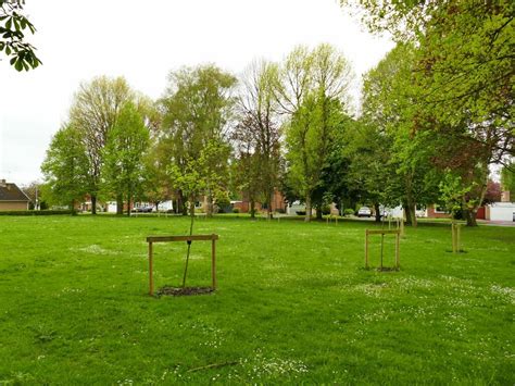 Young Trees On Gawsworth Drive © Stephen Craven Cc By Sa20