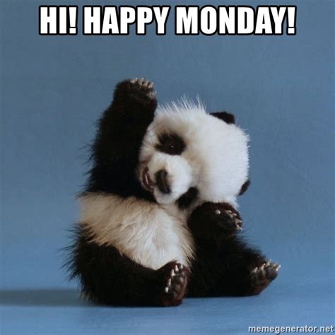 A way of describing cultural information being shared. Hi! Happy Monday! - Happy Panda | Meme Generator