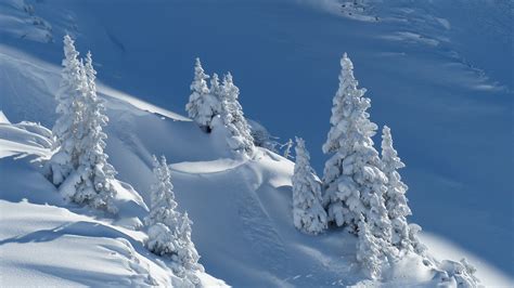 Free Images Cold Mountain Range Ice Weather Snowy Season Trees