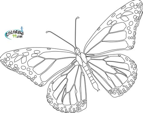 These coloring pages depict the butterflies in various shapes and sizes; monarch butterfly coloring pages printable | Butterfly ...