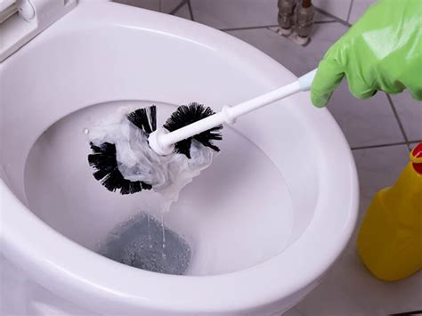How To Unclog Toilet With Poop In It 10 Proven Hacks