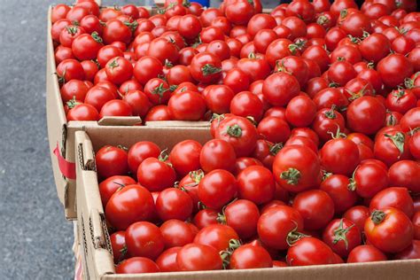 The Best Way To Store Tomatoes Kitchn