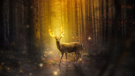 Deer With Fire Antlers