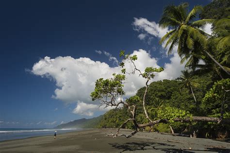 The three corcovado national park's ranger stations are in operation daily from 7:30 a.m. Corcovado National Park, Costa Rica. Into the Wild (II ...