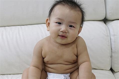 Asean Photo Gallery Photo Of The Day ‘do Fat Babies Grow Up To Be