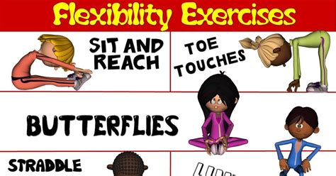 Which Activity Is A Type Of Flexibility Exercise Workoutwalls