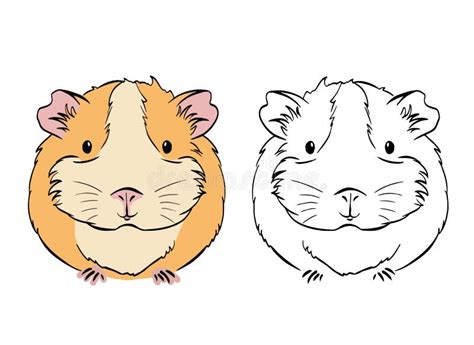 Plump Cute Colorful Guinea Pig Sketch Vector Graphics Black And White