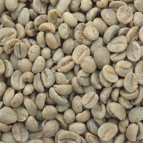 Yemen Mocca Matari Green Coffee Beans Coffee Bean Corral