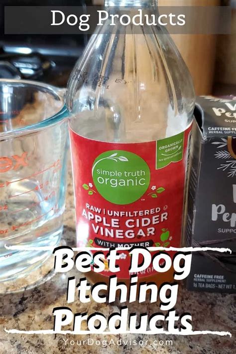 Best Dog Itching Remedies Your Dog Advisor In 2020 Dog Itching