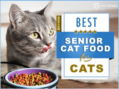 Our 2019 Guide To Picking The Best Senior Cat Food For