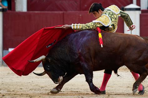 Matadors Decision To Wipe The Face Of A Dying Bull Sparks Outrage