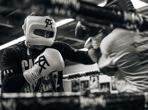 Guía Boxeo ¿cómo Realizar Correctamente El Sparring En El Ring