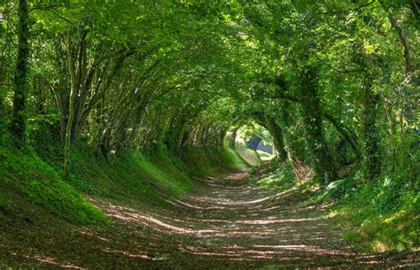 These Beautiful Tunnels Have Fascinating Backstories