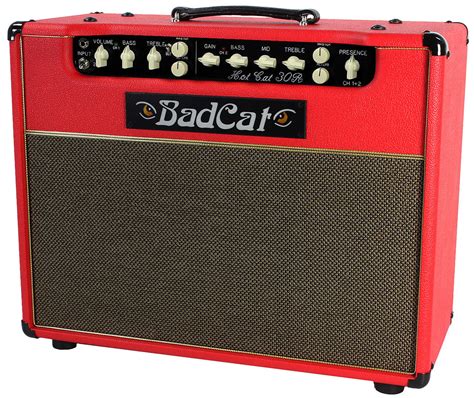 Bad Cat Hot Cat 30r 30 Watt 1x12 Guitar Combo Reverb