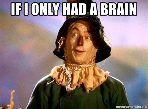 If I Only Had A Brain Wizard Of Oz Scarecrow Meme Generator
