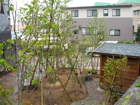 20 | 6月 | 2012 | 武田園芸 山形 造園 和風庭園 洋風庭園 外構工事 ガーデニング