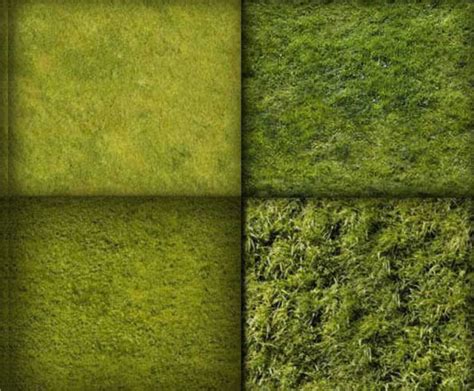 18 Grass Patterns Free Psd Ai Vector Eps Format Download