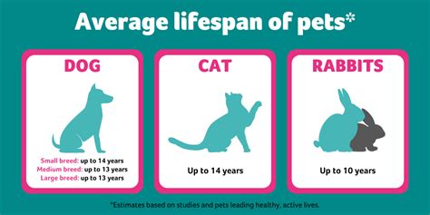 How Long Do Pets Live Pdsa
