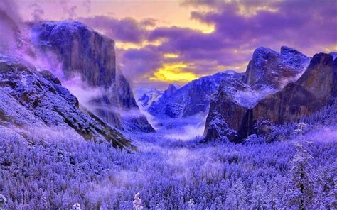 Download Wallpapers Yosemite Valley Forest Winter Mountains