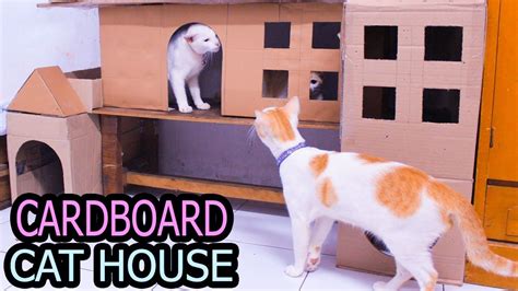 30 gambar rumah kucing kardus terlengkap koleksi gambar rumah. Cara Membuat Rumah Kucing Menggunakan Kardus | Cardboard ...