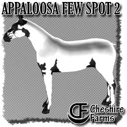 Appaloosa Patterns Welcome To Cheshire Farms