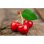 Fresh Red Cherries Macro Photography Wallpaper  Other Better