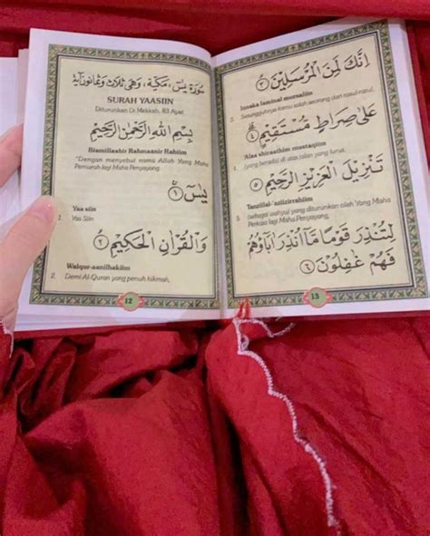 Namun, di pagi hari saat rakan dinobatkan sebagai kaisar, yang namanya dipanggil sebagai ratu bukanlah kayra, melainkan sepupunya, vienna. Baca Surah Yasin Adakah Faedahnya? - Cahaya Islam