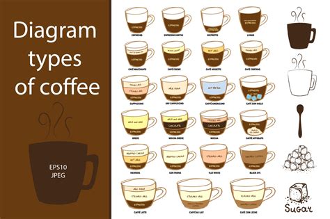 Well, there are countless more. Diagram types of coffee ~ Illustrations ~ Creative Market