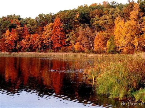 Fall Foliage Screensavers