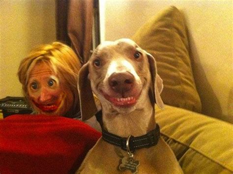 Funniest Face Swaps Of The Year 31 Pics Picture 17