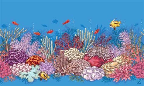 Coral Reef Clip Art 17 Free Cliparts Download Images On