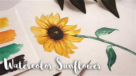 Sunflower Watercolor Painting Easy Best Flower Site