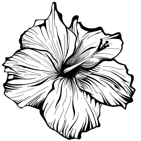 Download clker's flower lineart clip art and related images now. Flower Line Drawing - Cliparts.co