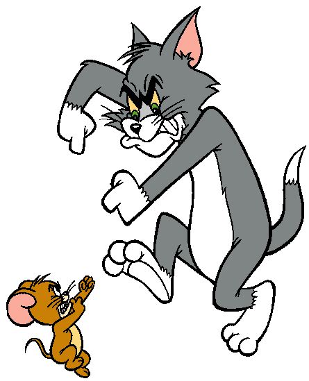 Tom Fighting With Jerry