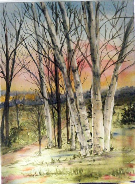 Birch Trees On Canvas Painting By Diane Ziemski