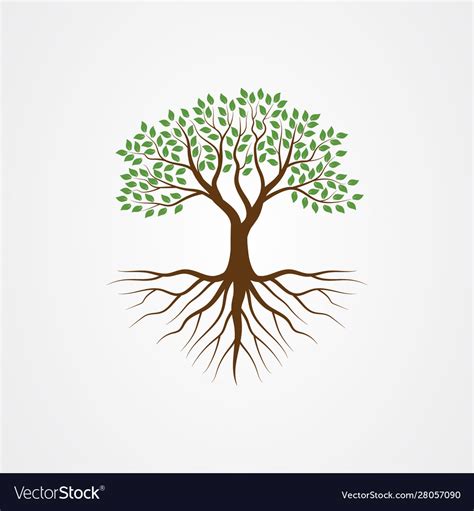 Tree With Roots Royalty Free Vector Image Vectorstock