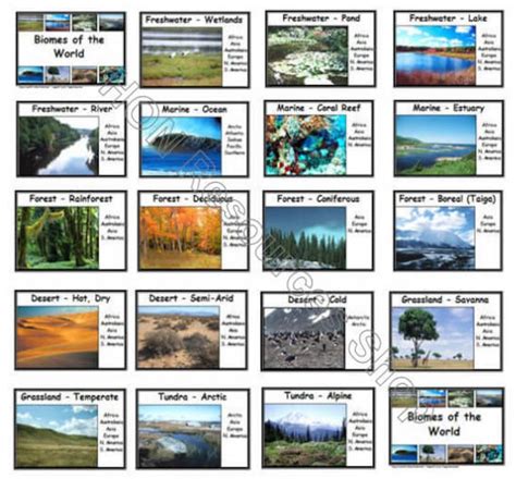 Biomes Of The World 20 Printable Flash Cards By Honresourcesshop