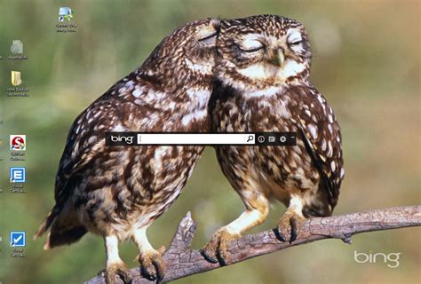 Bing Desktop Wallpaper Example Little Owls 1137x768 Wallpaper