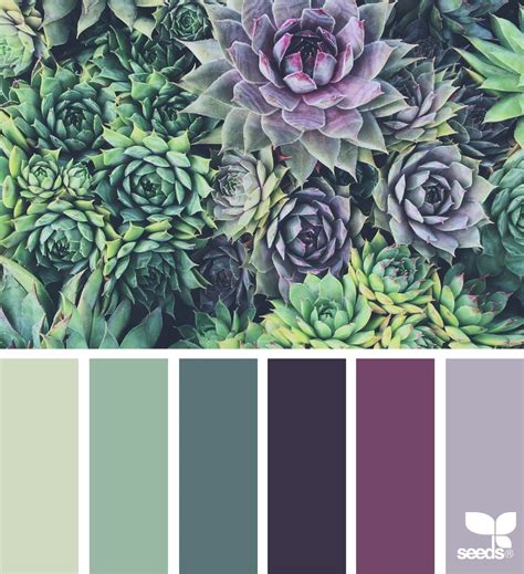 And of course, if it's color inspiration you're looking for, design seeds is a perfect place to look. Purple Roman Blinds Color Scheme Ideas in 2020 | Design ...