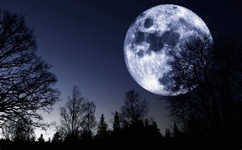 1 фраза в 1 тематике. Vollmond Erinnerung