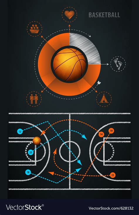Infographics Element With Sports Basketball Ball Vector Image