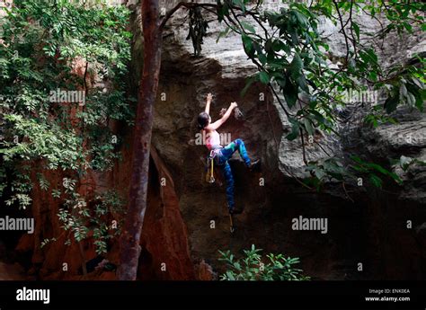 A Climber Scaling Limestone Cliffs In The Jungle At Serra Do Cipo