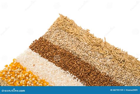 Collection Set Of Cereal Grains Stock Image Image Of Cereal Macro