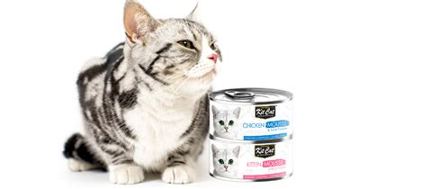 The Mouser Cat Food: A Purrr-fect Blend of Health and Taste - Pet 2 Blogs