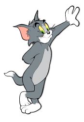 Many shorts also feature several recurring characters. Cartoon Characters: Tom and Jerry