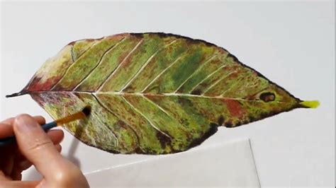 Drawing Leaf Using Colored Pencils How To Draw Watercolour Painting