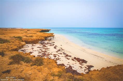 Hours, address, the beach reviews: السياحة السعودية on Twitter: "من هذا المكان الرائع .. # ...
