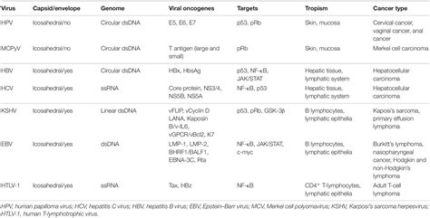 Frontiers Regulation Of Autophagy In Cells Infected With Oncogenic