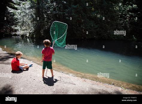 Boys Fishing In River Stock Photo Alamy