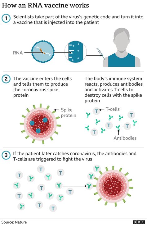 Covid Who Is Getting The Pfizer Vaccine First And When Can I Have It